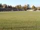 pa250146.jpg (446k)