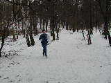 P1190400.jpg (169k)