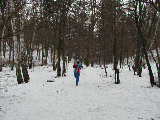 P1190405.jpg (177k)